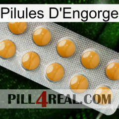 Engorge Pills levitra1